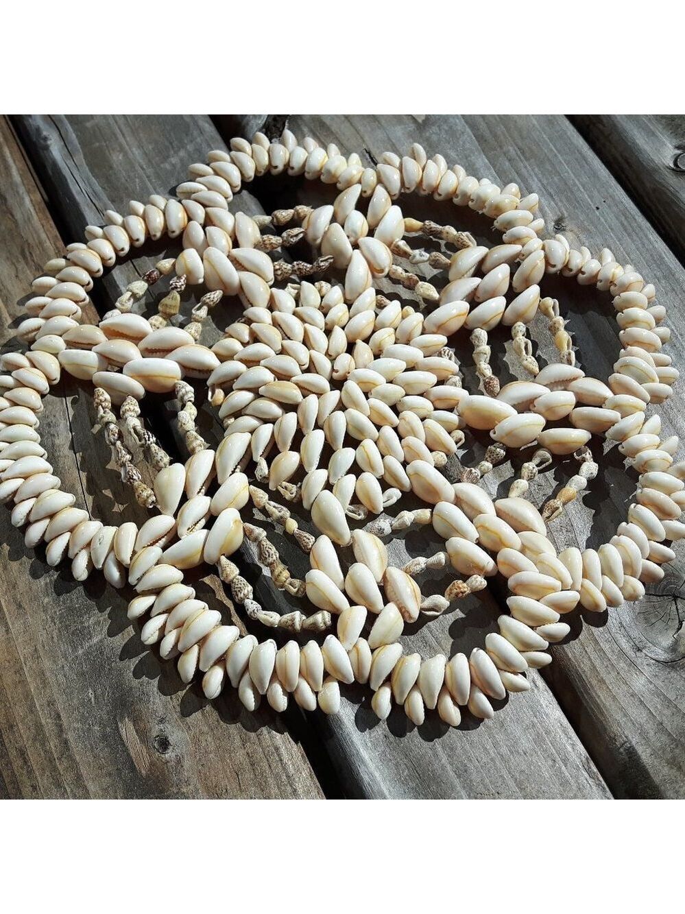 Vintage Cowrie Shell Trivet Beautiful Nautical